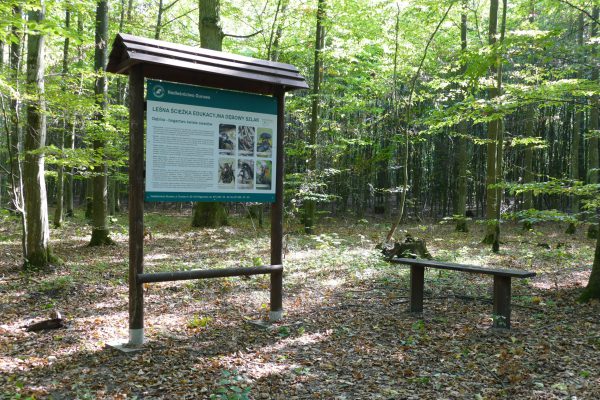 Rozwoj infrastruktury edukacyjnej