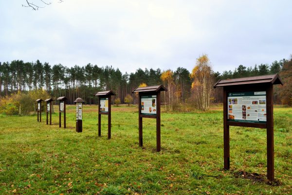 Fot. Paulina Pankowska – Niezborała