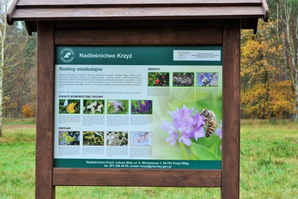 Fot. Paulina Pankowska – Niezborała