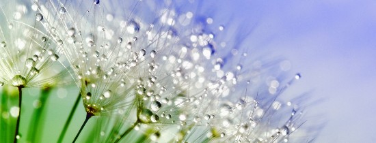 konkurs czyste powietrze foto