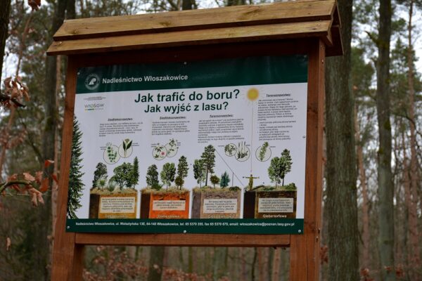 Tablica edukacyjna "Jak trafić do boru?"