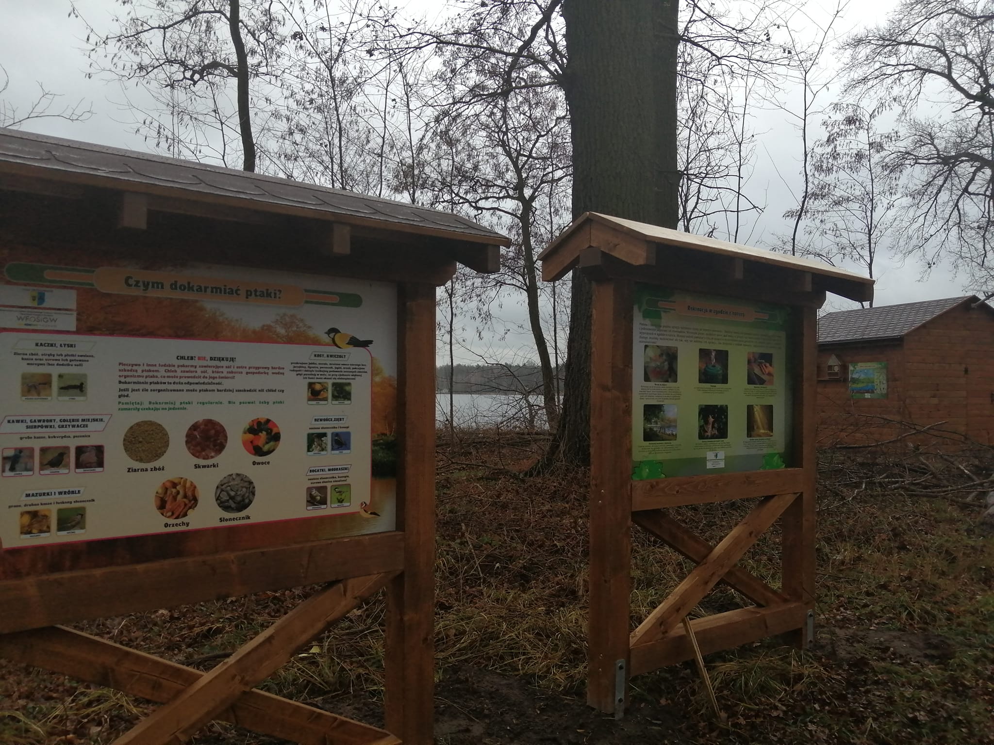 Tablice edukacyjne przy wiacie do obserwacji ptaków.