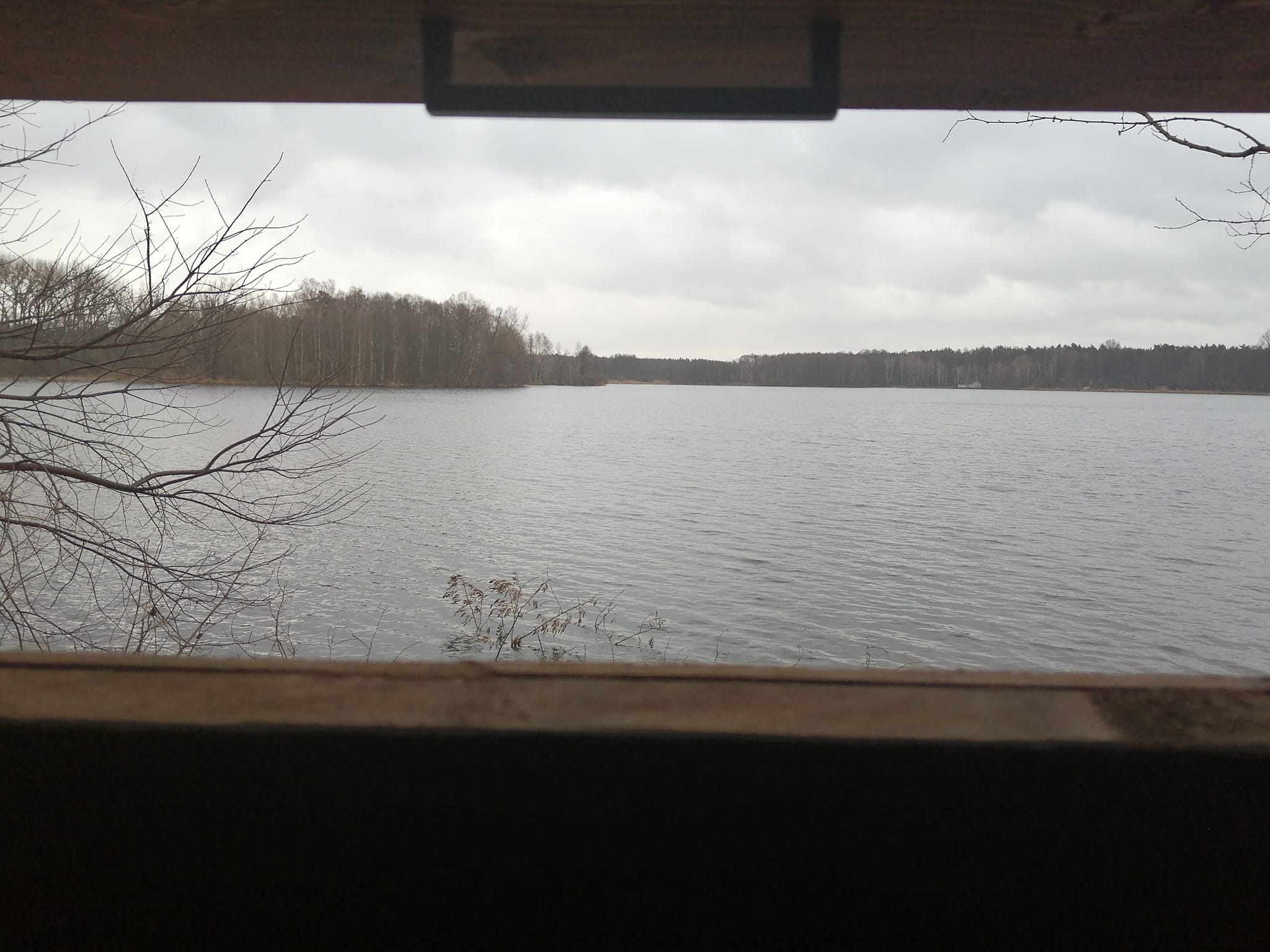 Okno do obserwacji ptaków we wiacie w Antoninie.