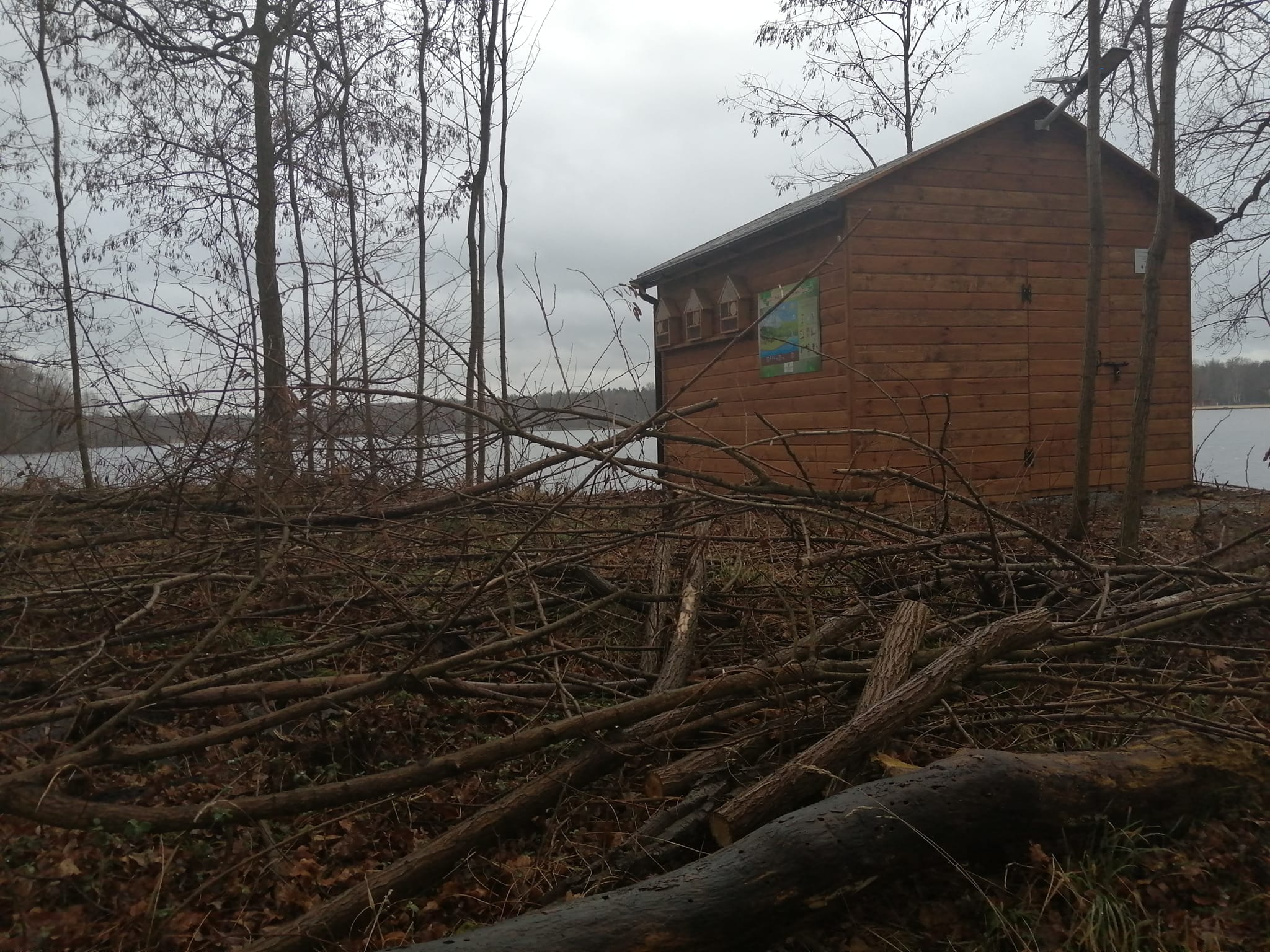 Wiata edukacyjna do obserwacji ptaków w Antoninie.