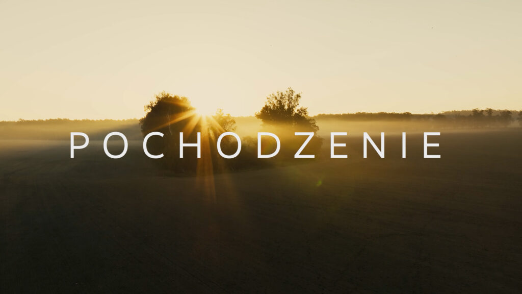 kadr z filmu ekologicznego na temat różnorodności biologicznej w Wielkopolsce przedstawiające uroki natury