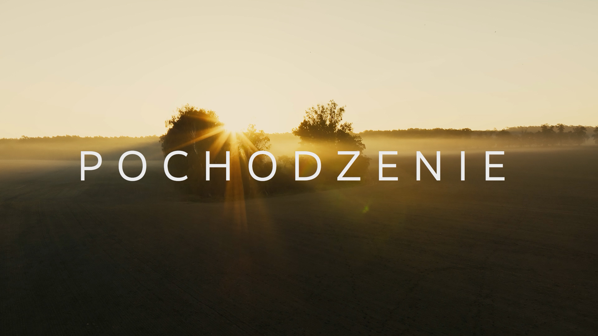 kadr z filmu ekologicznego na temat różnorodności biologicznej w Wielkopolsce przedstawiające uroki natury