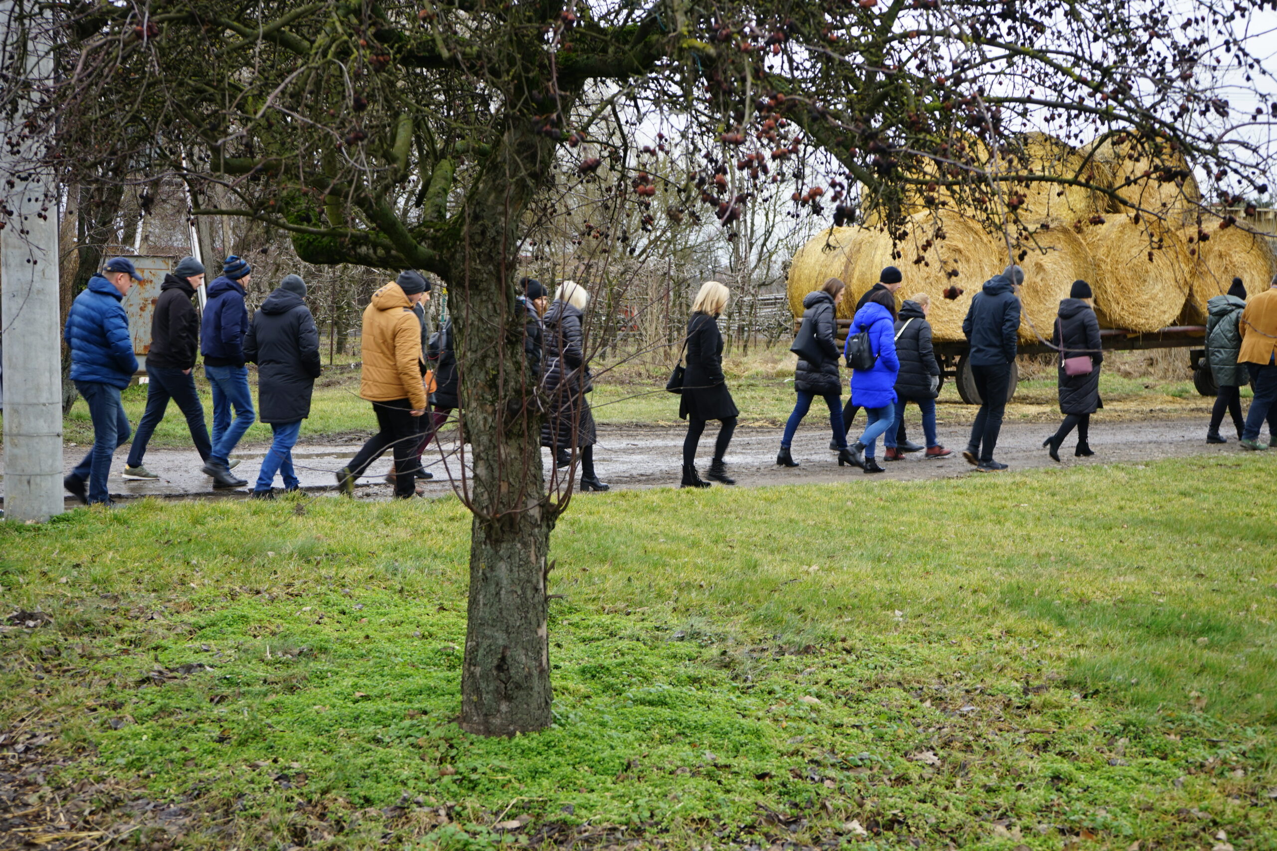 Ludzie idący wzdłuż drogi.