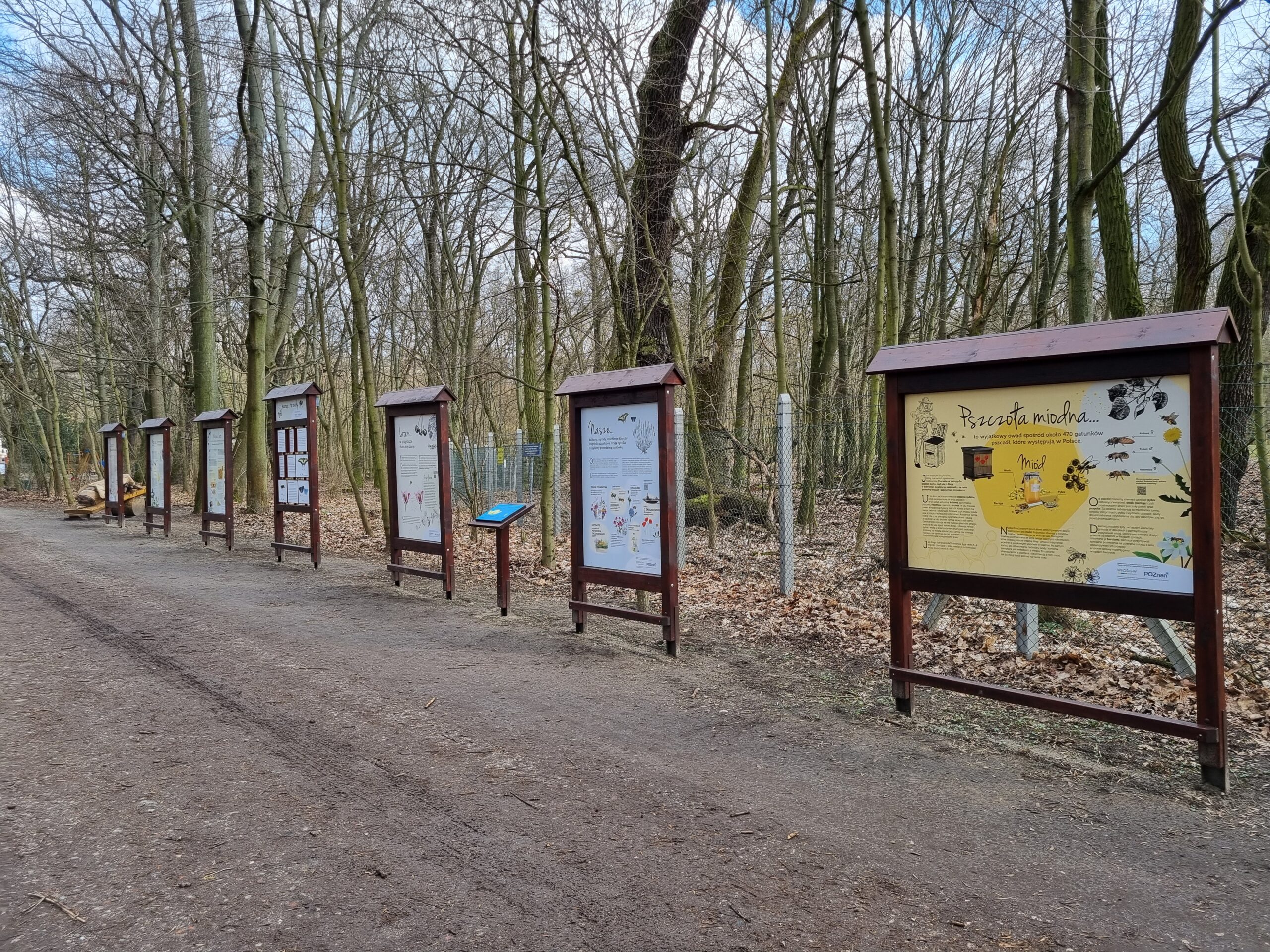 Ścieżka edukacyjna - tablice edukacyjne.