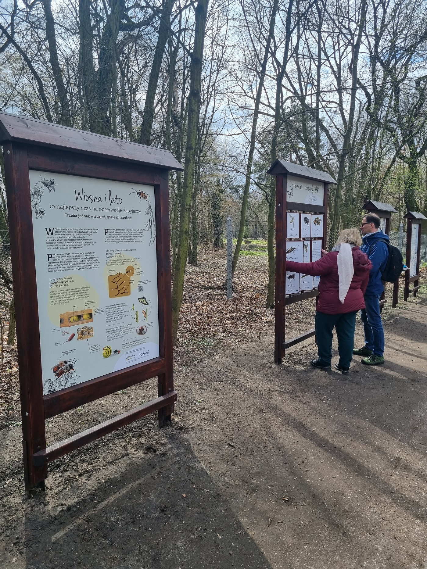 Ścieżka edukacyjna - tablice edukacyjne i osoby oglądające je.