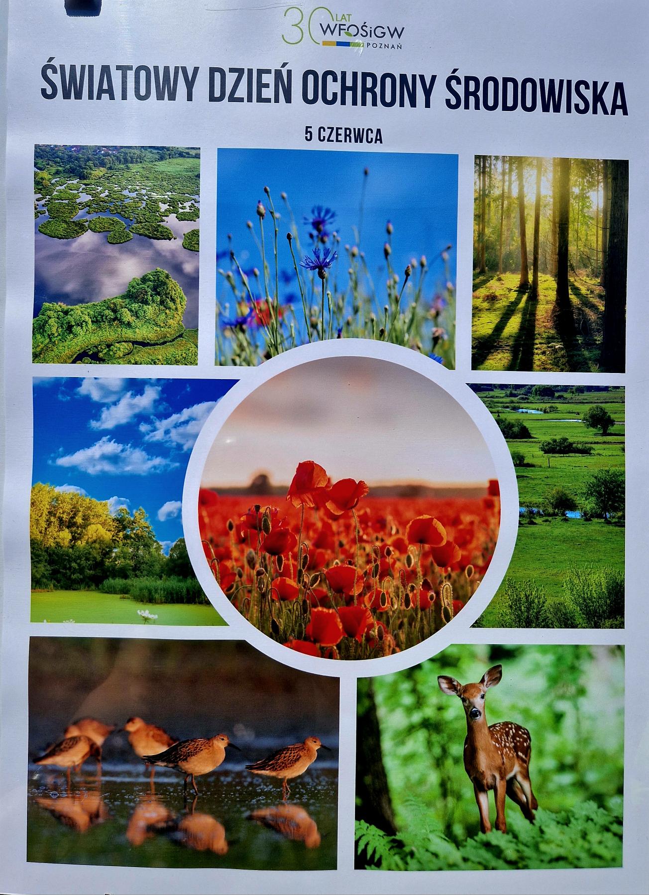 plakat z okazji Światowego Dnia Ochrony Środowiska