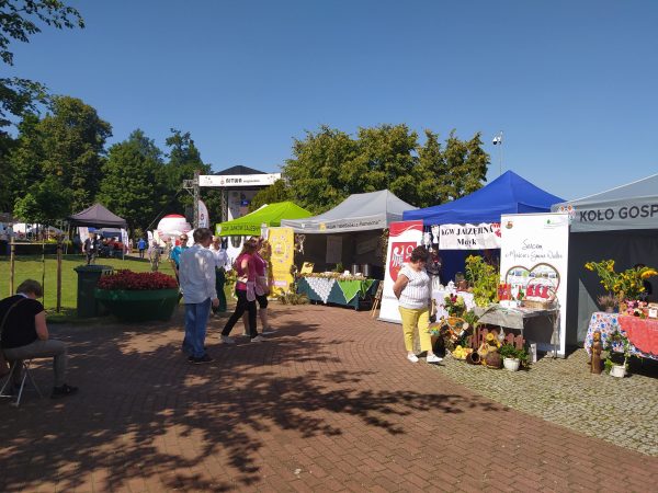 Stoiska wystawiennicze podczas festynu