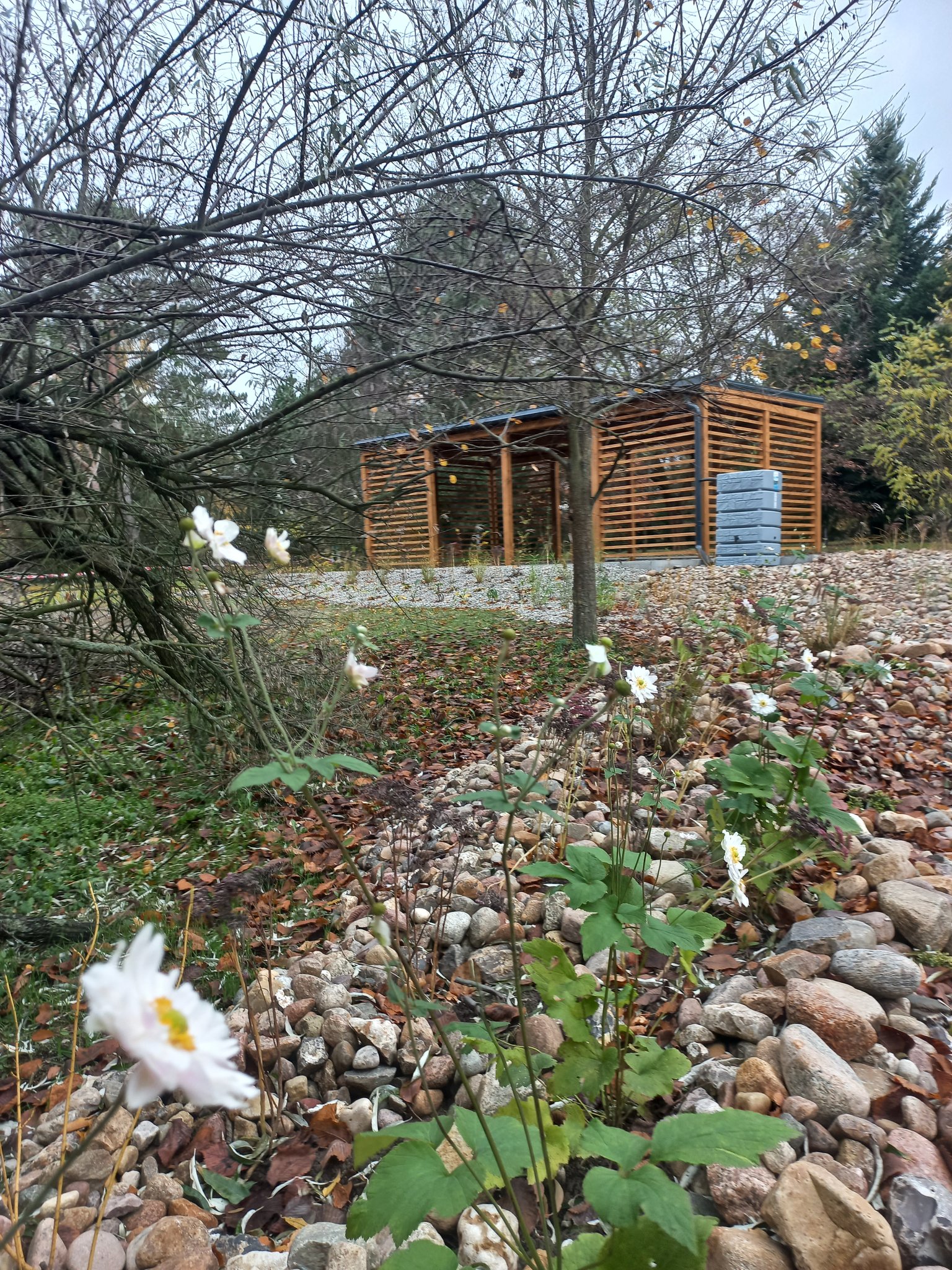 Demonstracyjny ogród klimatyczny przy Collegium Geographicum Uniwersytetu im. Adama Mickiewicza