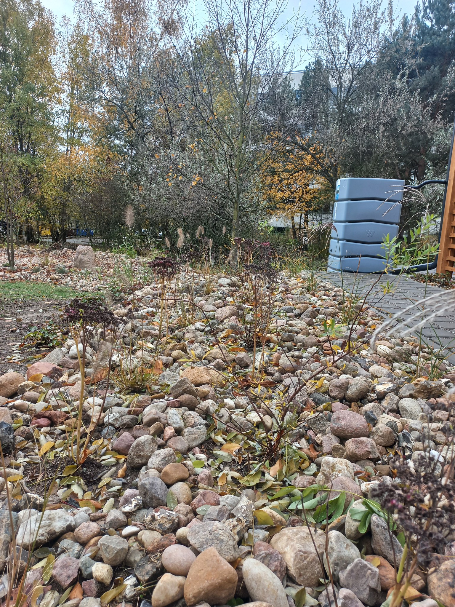 Demonstracyjny ogród klimatyczny przy Collegium Geographicum Uniwersytetu im. Adama Mickiewicza