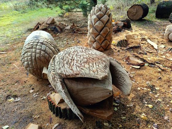 Owoce leśne wykonane z drewna na terenie realizowanego przedsięwzięcia w Ośrodku "Zwierzyniec"