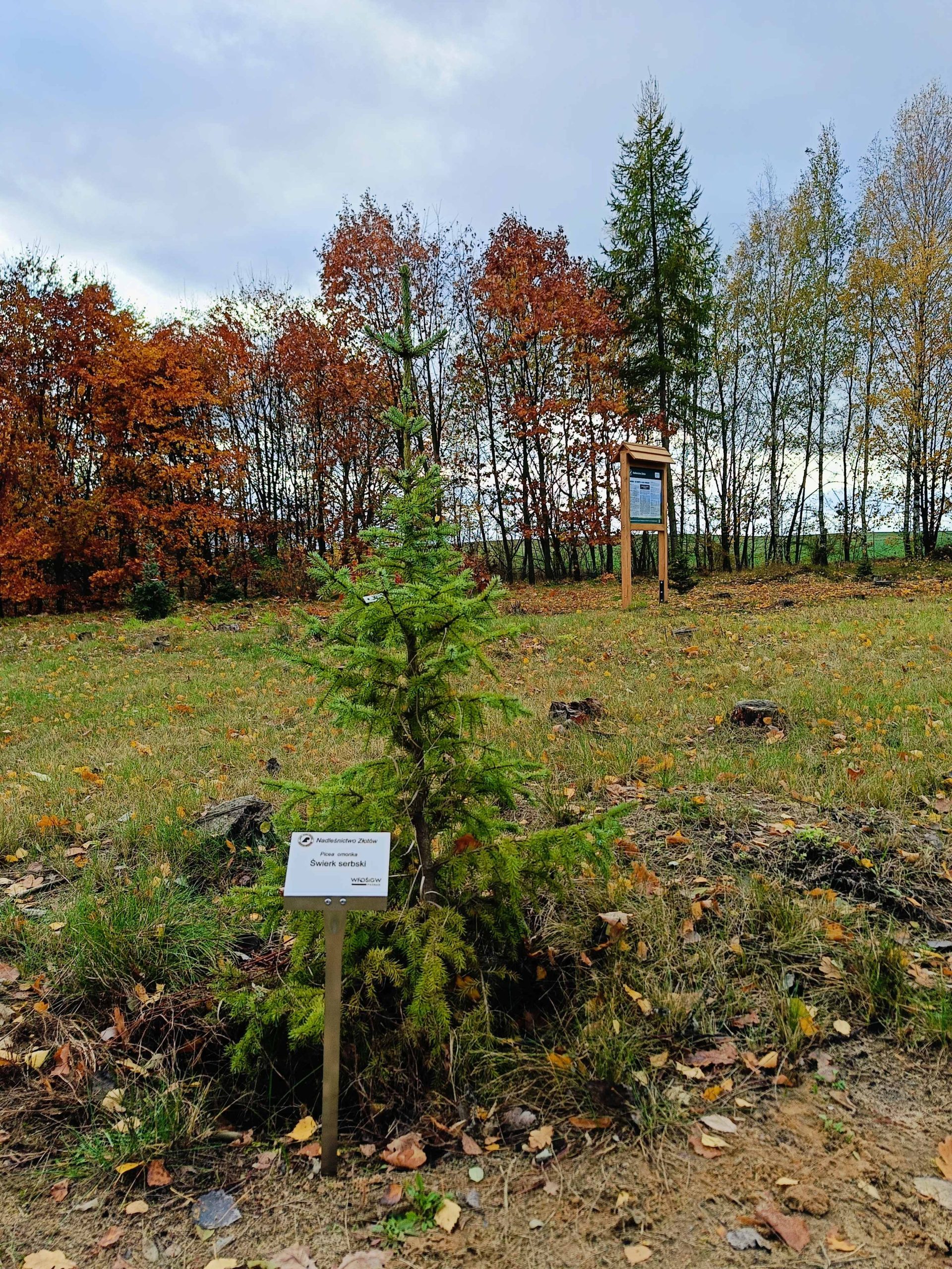 Drzewa z tabliczkami informacyjnymi