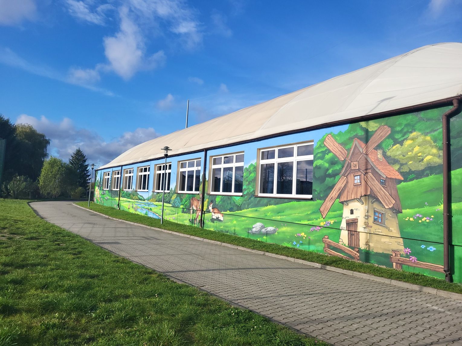 Widok nahalę sportową, na której powstał kolorowy ekologiczny mural w gminie Tarnówka.