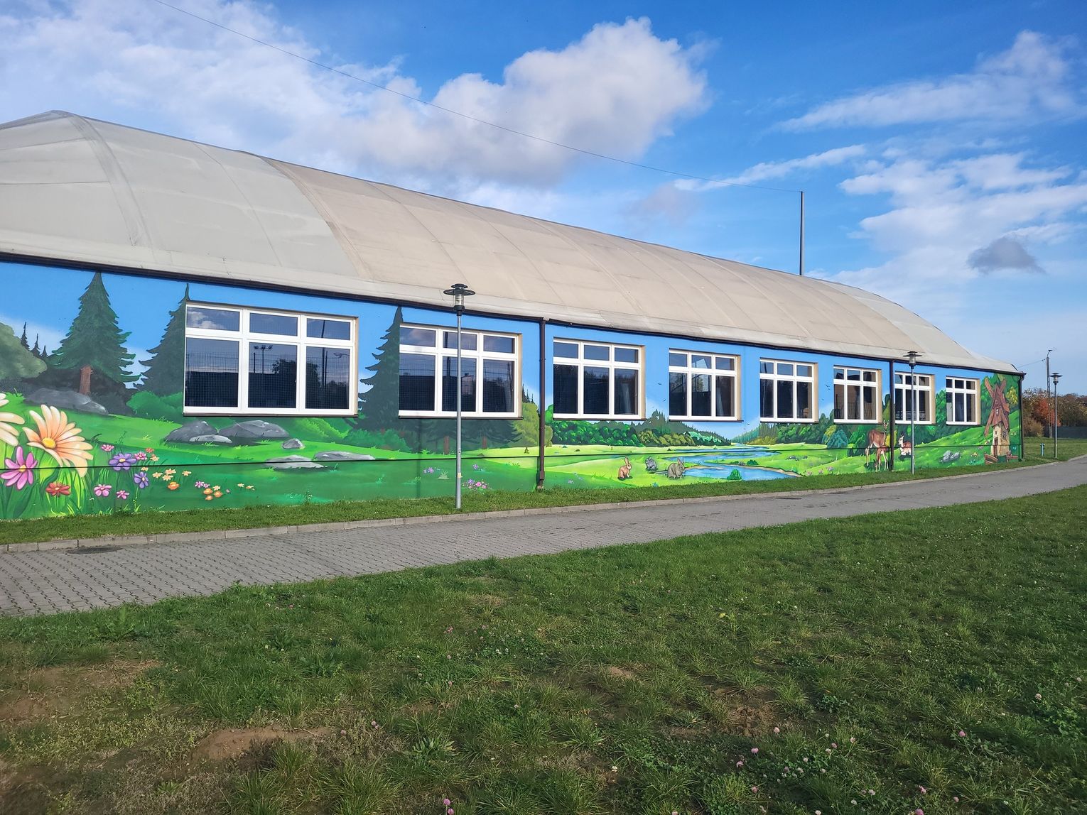 Widok nahalę sportową, na której powstał kolorowy ekologiczny mural w gminie Tarnówka.