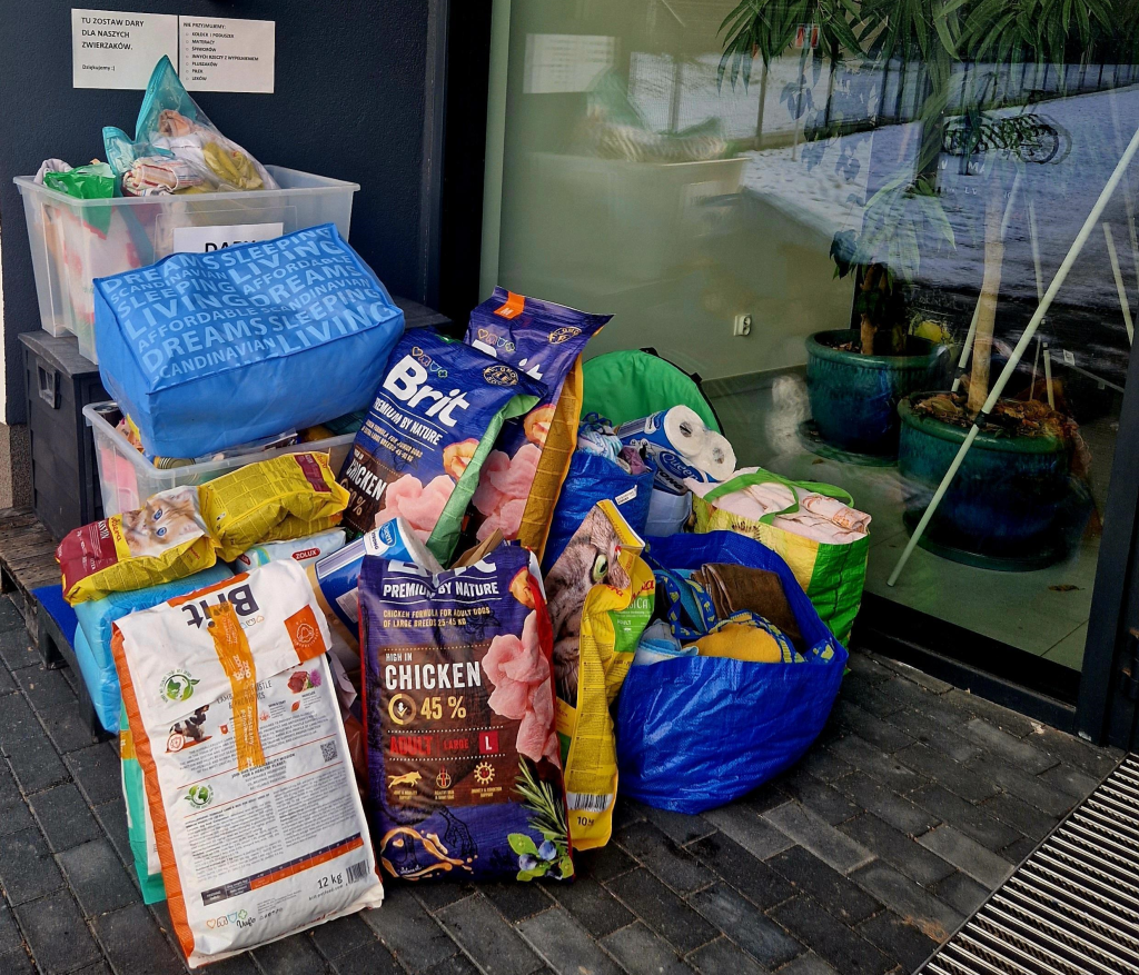 zdjęcie przedstawia karmy, koce, ręczniki przywiezione do schroniska dla zwierząt.