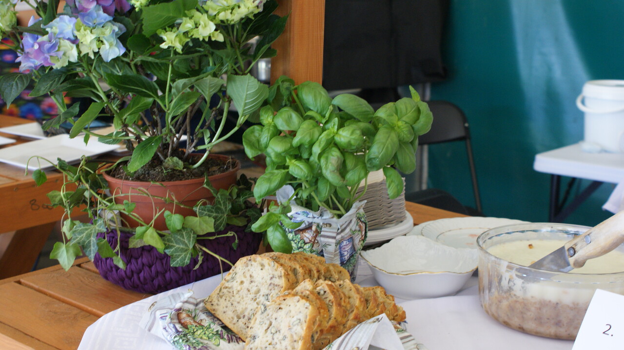 Zdjęcie przedstawia stół z lokalnymi specjałami kuchno - tutaj pieczywo na tle doniczek z ziołami.