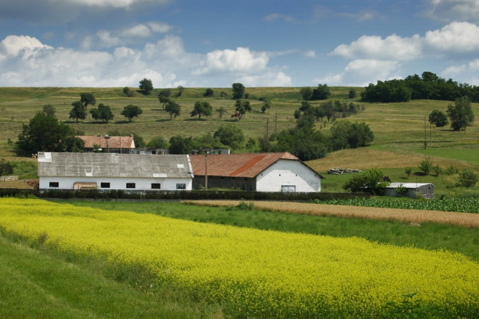 Zdjęcie przedstawia krajobraz wsi z widocznym za polem domem oraz oborą z dachem pokrytym azbestem.