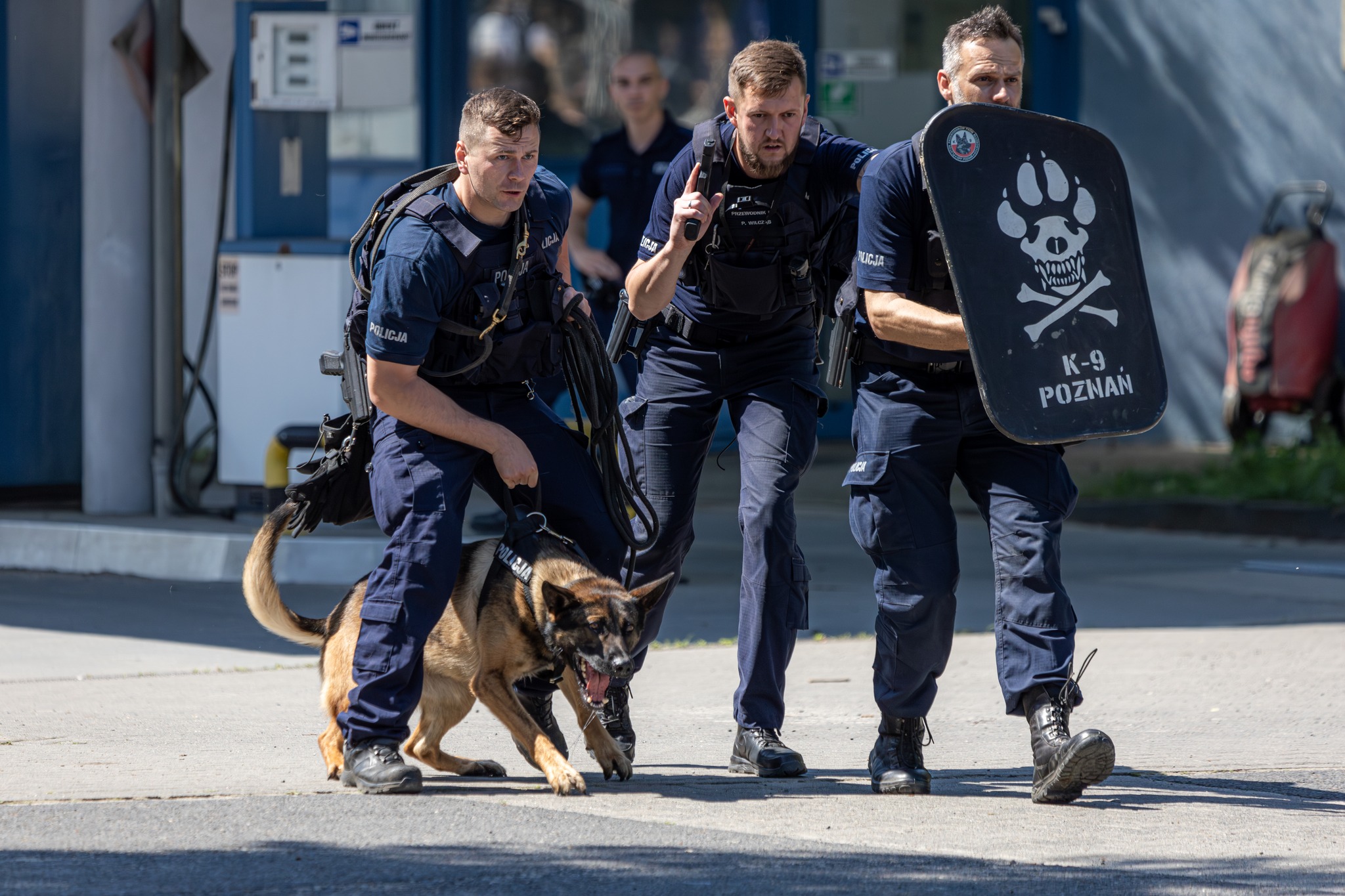 Na placu podczas festynu 3 policjantów przeprowadza pkaz tresury i pracy z psem policyjnym.