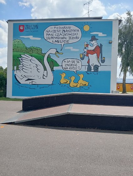 Zdjęcie przedstawia mural wykonany na terenie skateparku w Zbąszyniu.