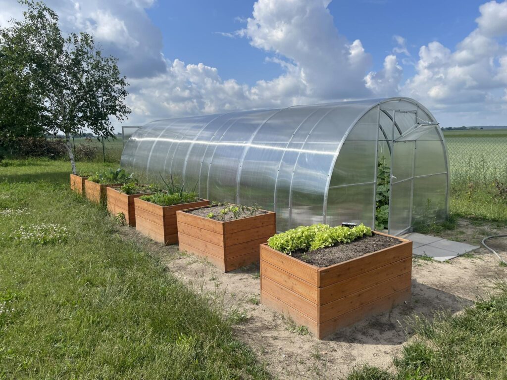 Zdjęcie przedstawia tunel-szklarnie oraz przed nim stoją donice ogrodowe z zasianymi roślinami.