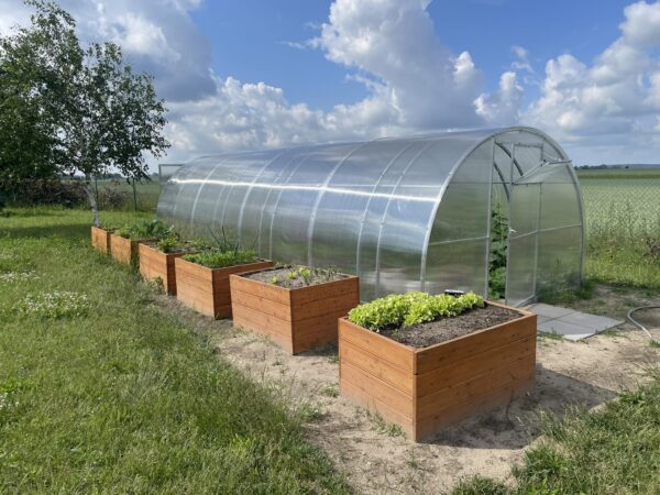 Zdjęcie przedstawia tunel-szklarnie oraz przed nim stoją donice ogrodowe z zasianymi roślinami.