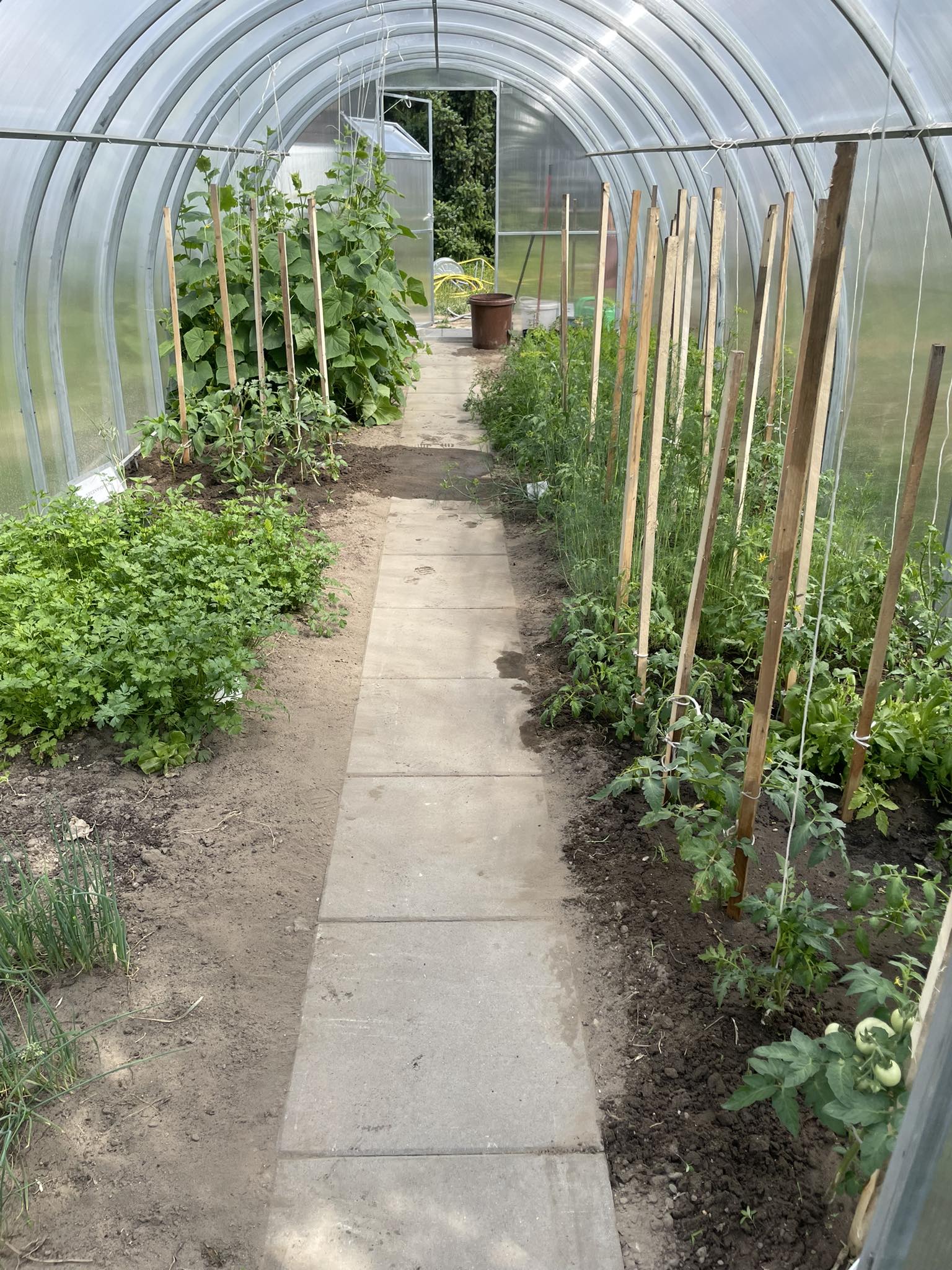 Na zdjęciu wnętrze szklarni z grządkami, na których rosną rośliny.