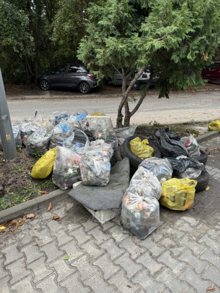 Zdjęcie przedstawia zebrane podczas akcji "Sprzątanie świata 2024" odpady.