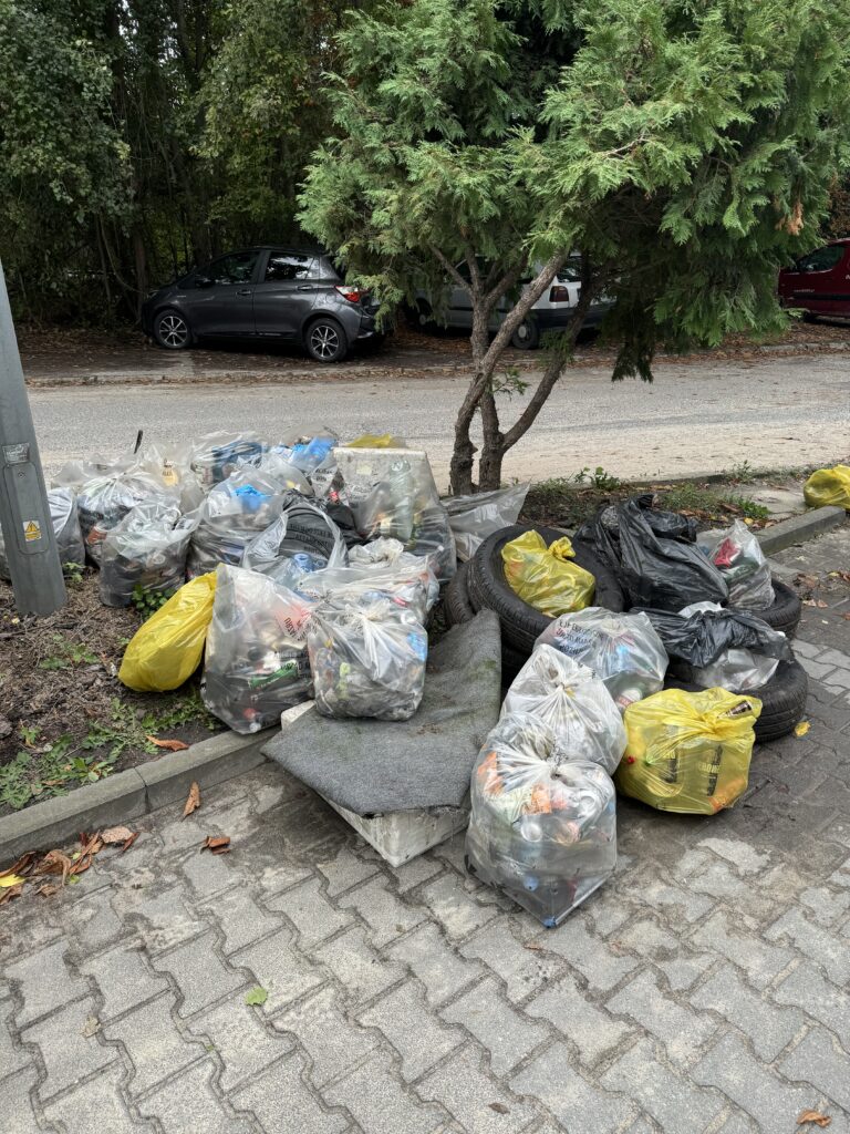 Zdjęcie przedstawia zebrane podczas akcji "Sprzątanie świata 2024" odpady.