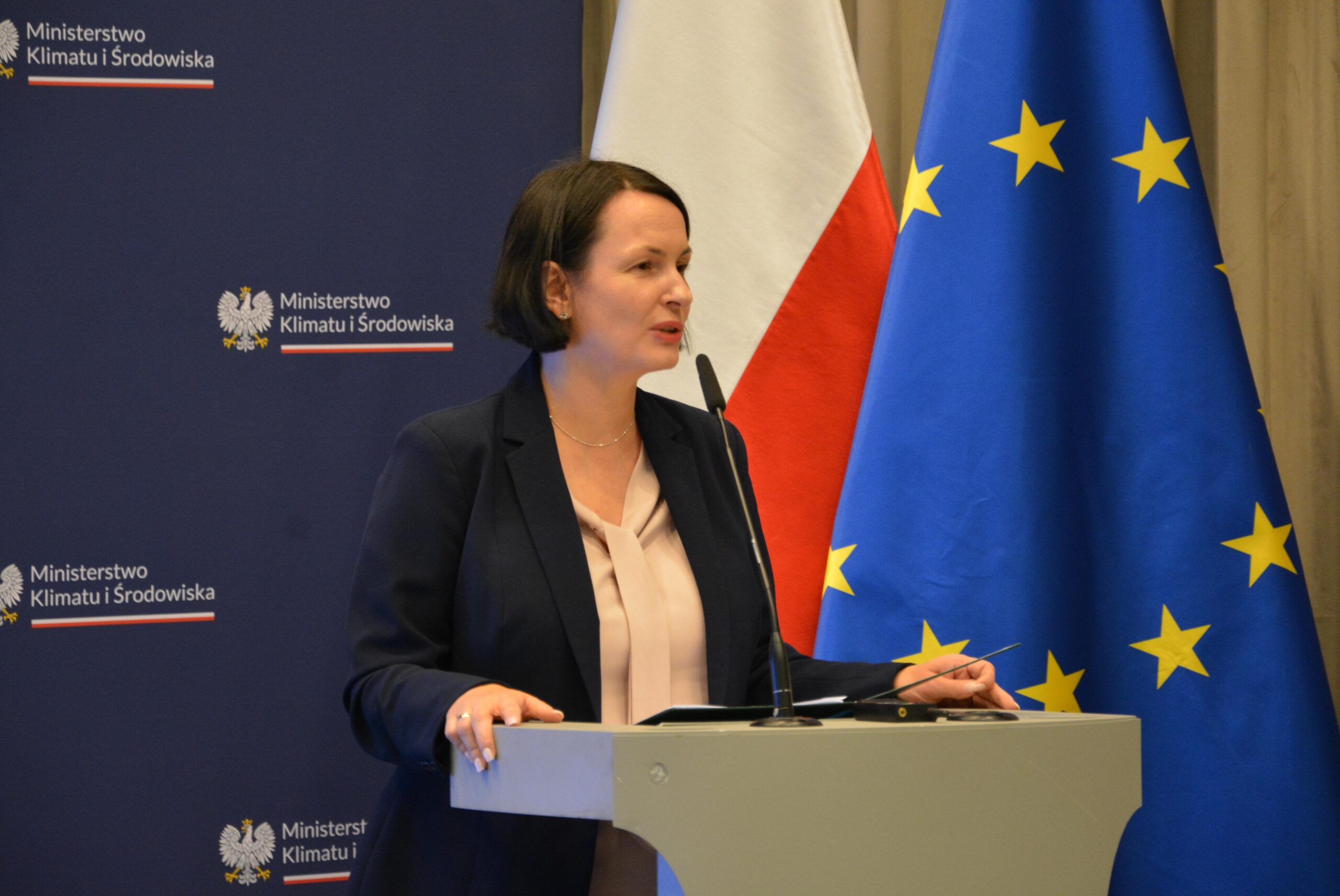 Jedna osoba stoi za mównicą i przemawia.