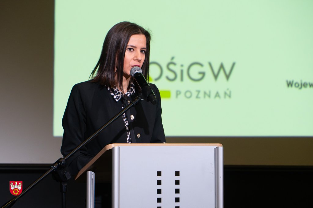 Jedna osoba stoi na scenie i przemawia zza mównicy.