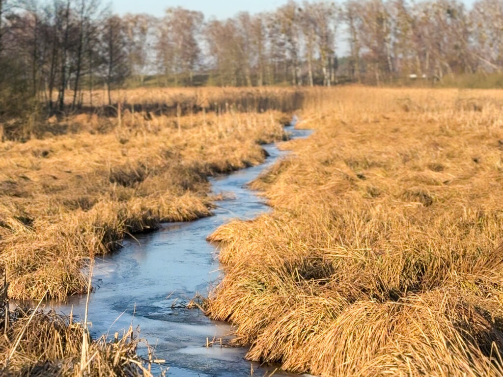 sciezka edukacyjna dolina samy