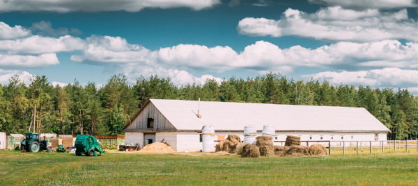 Zdjęcie przedstawia gospodarstwo rolne z budynkiem, którego dach pokryty jest azbestem.